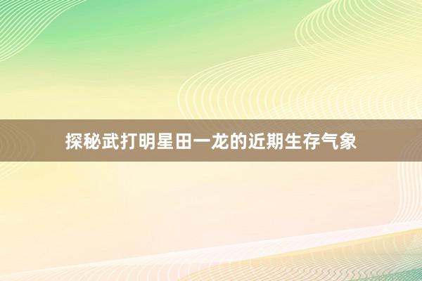 探秘武打明星田一龙的近期生存气象